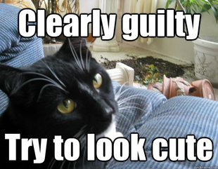 This was me.