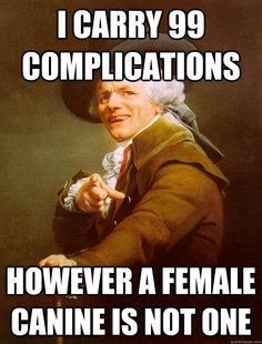 Joseph Ducreux