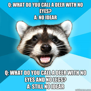 Lame Pun Coon
