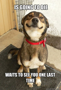 Good Dog Greg