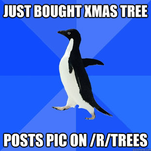 Socially Awkward Penguin
