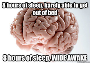 Scumbag Brain