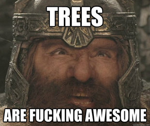 Gimli Meme