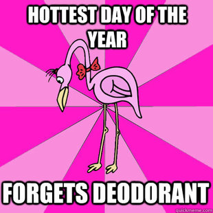 First Date Flamingo