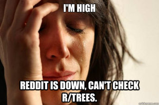 First World Problems