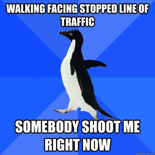Socially Awkward Penguin