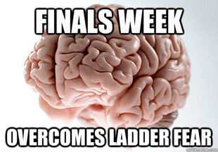 Scumbag Brain