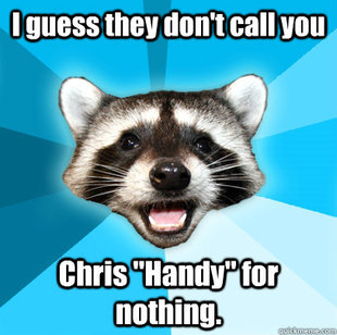 Lame Pun Coon