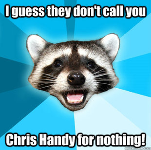 Lame Pun Coon