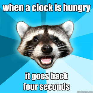 Lame Pun Coon