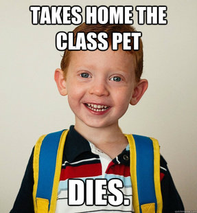 Pre-School Freshman