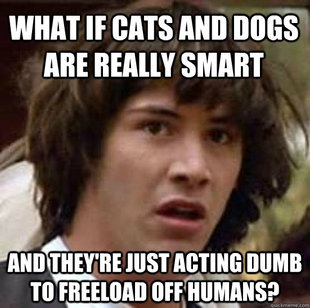 conspiracy keanu