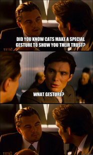 Inception