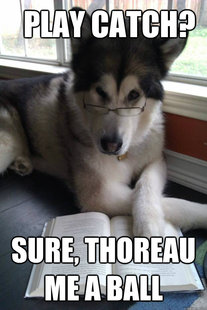 Condescending Literary Pun Dog