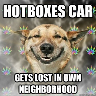 Stoner Dog