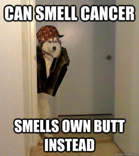 Scumbag dog