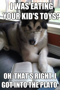 Condescending Literary Pun Dog