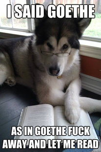 Condescending Literary Pun Dog