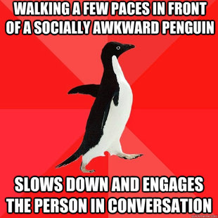 Socially Awesome Penguin