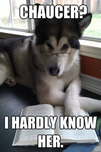 Condescending Literary Pun Dog