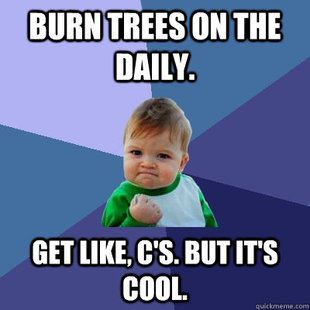 Success Kid
