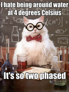 Chemistry Cat