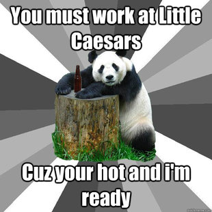 Pickup-Line Panda