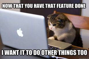 Web Developer Cat