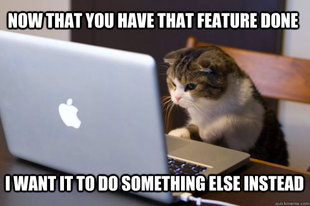 Web Developer Cat