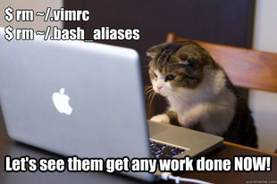 Web Developer Cat