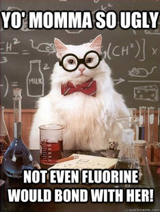 Chemistry Cat