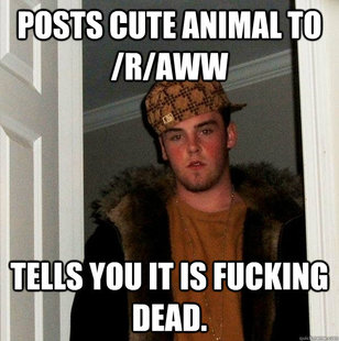 Scumbag Steve