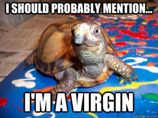 Sexually Awkward Turtle