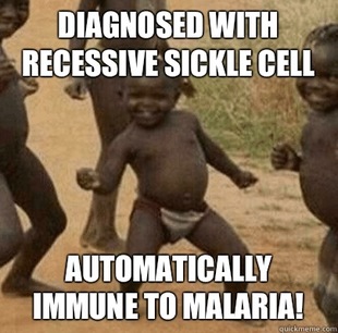 Third World Success