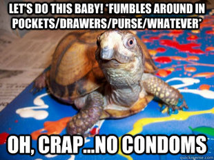 Sexually Awkward Turtle