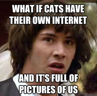Sage Meme on Top 21 Best Conspiracy Keanu Memes 21 What If What
