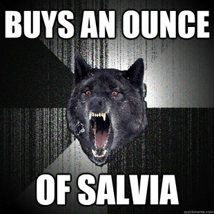 Insanity Wolf