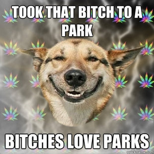 Stoner Dog