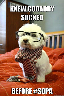 Hipster pup