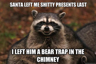 Evil Plotting Raccoon