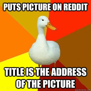 Tech Impaired Duck