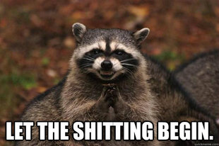 Evil Plotting Raccoon
