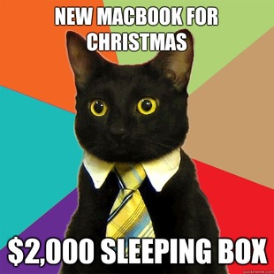 Business Cat