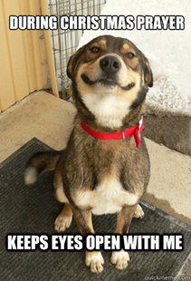 Good Dog Greg