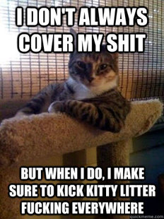 The Most Interesting Cat in the World