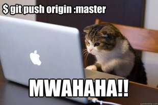 Web Developer Cat