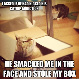 Cats wife