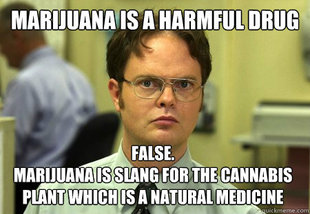 Dwight
