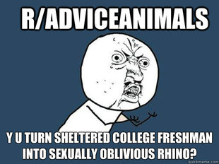 Y U No