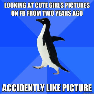 Socially Awkward Penguin
